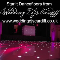 Wedding DJs Cardiff 1090038 Image 2